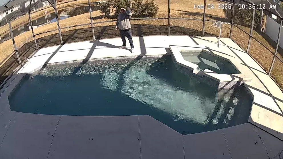 Cove outdoor camera mounted with daytime pool area view